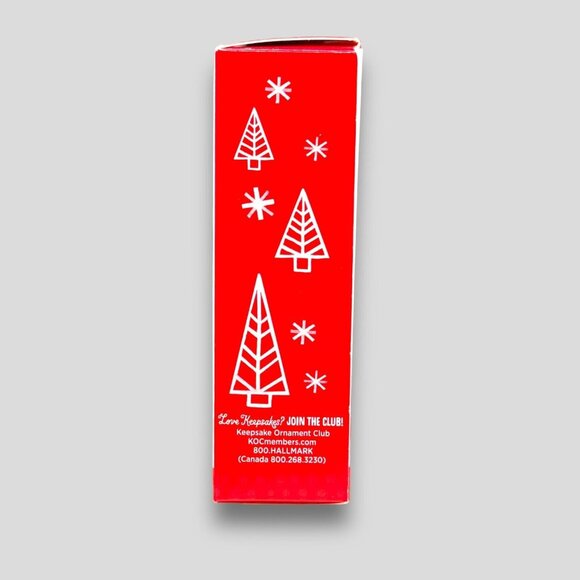 2013 Hallmark Keepsake Ornament  1st In The Cool Icicle Series NIB - Picture 3 of 8